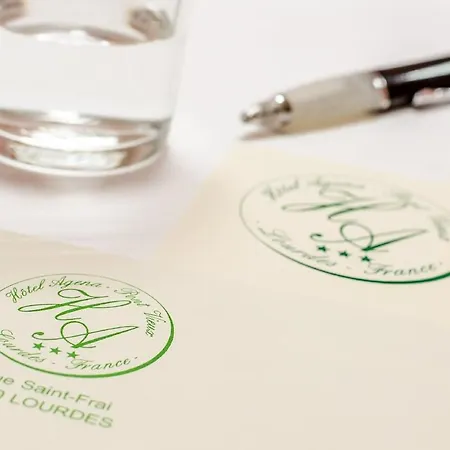 阿吉纳酒店 3* 卢德